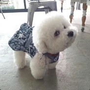 队长别开枪是我