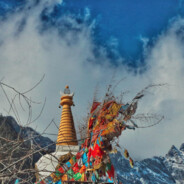 ★Six6DesWarRior♡