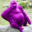 purplemonkey