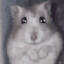 鼠头
