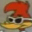 PICAPAU DE OCULOS