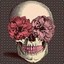 Skeleton brothe