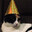 Steam avatar of colarem