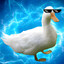 Patto Donald