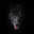 wolfindark