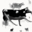 polish cow