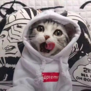 小玉让老爹拉个大电-