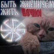 Koтoвий   тoлстячок