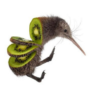 kiwi
