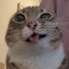 SuperCumRat69's avatar