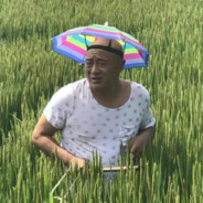 山东最后的深情