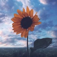 魂锁典狱长胡英俊