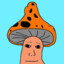 ANARCHO-SHROOMIST