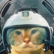 猫儿这个壮志凌云