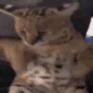 2006 Ford Mustang GT