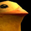Chorange Icken