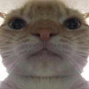 Nikoala000