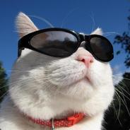 哎呀，好气啊！