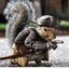 CaptainSquirrel110