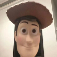 不爱卖萌的猫猫