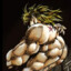 DIO