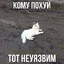 tryhard