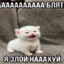 noisy boy