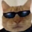 𝔾ʳ🄴oXX
