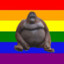 [HOMO] Monkee