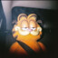 EVIL weed Garfield