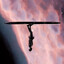 nasral