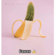 BaNaNa_KaKtus