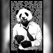 Mr.panda