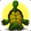 Yoga Turtle