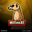 Meerkat