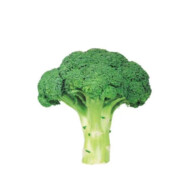 好好好想吃肥肠