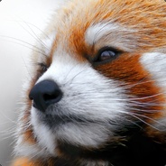 TheRedPanda