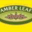 amberleaf