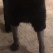 ok's Steam Avatar