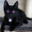 ENDER_CAT