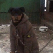 АхмадГьажиАфанди