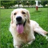 一起去抓水母哇