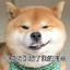 稳赢hh
