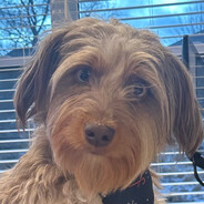 DrewSkii - steam id 76561198189918382