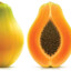 oblong papaya