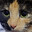 ashaya_sm