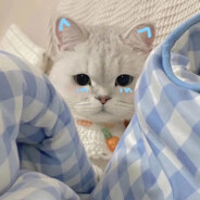 只为寻找其中的意义