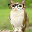 meowl