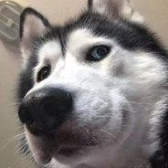 我很帅也很温柔