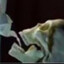 <img src="https://avatars.steamstatic.com/ecba469b4d071e863ee300b32afdcde1dba8997a_full.jpg" alt="Avatar of Dr.Xance"> Avatar of Dr.Xance